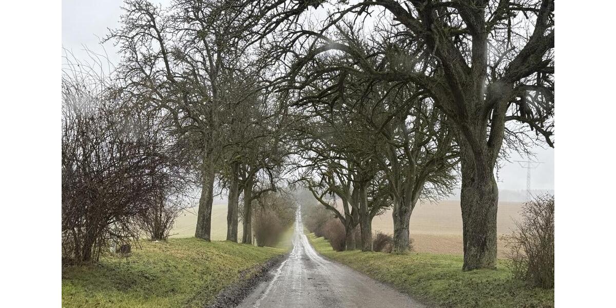 Einfamilienhaus Sinsheim - 9 Zimmer, 390 m&sup2;, 3.500&euro; | Angebot:25804568