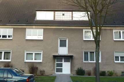 Wohnung zum Mieten in Gelsenkirchen 430 € 48 m² 2.5 zimmer