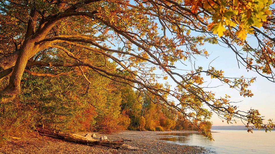 Wohnen auf Zeit Berg - 1 Zimmer, 20 m&sup2;, 650&euro; | Angebot:25285805