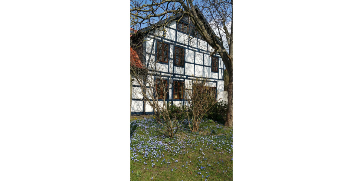 Wohnen auf Zeit Braunschweig Wabe-Schunter-Beberbach - 1 Zimmer, 200 m&sup2;, 440&euro; | Angebot:24226705