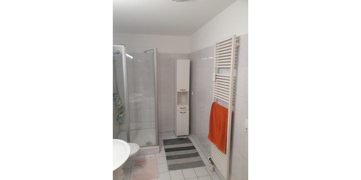 Wohnen auf Zeit Lörrach - 1 Zimmer, 25 m&sup2;, 750&euro; | Angebot:24696784