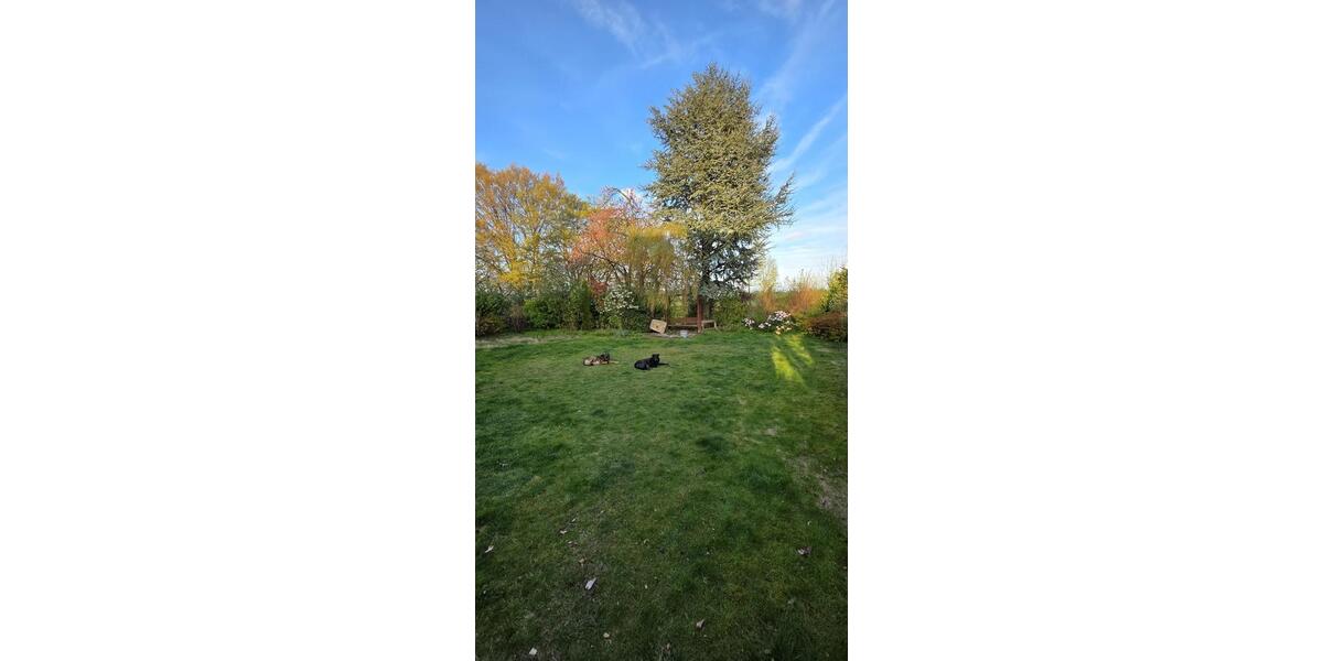 Wohnen auf Zeit Recklinghausen - 1 Zimmer, 20 m&sup2;, 490&euro; | Angebot:26025177