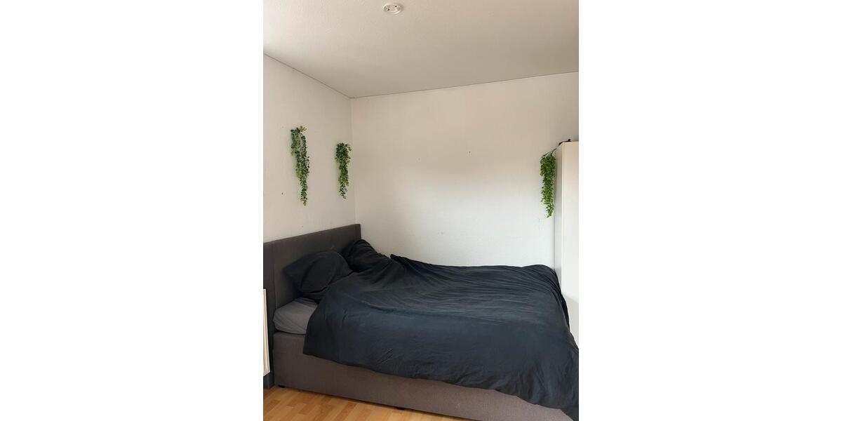 Dachgeschoßwohnung Kaiserslautern Einsiedlerhof - 1 Zimmer, 25 m&sup2;, 600&euro; | Angebot:26679537