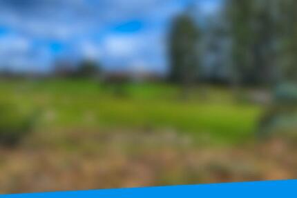 Langfristige Vermögenssicherung – Erwerb von landwirtschaftlichem Grundbesitz in Gera zimmer