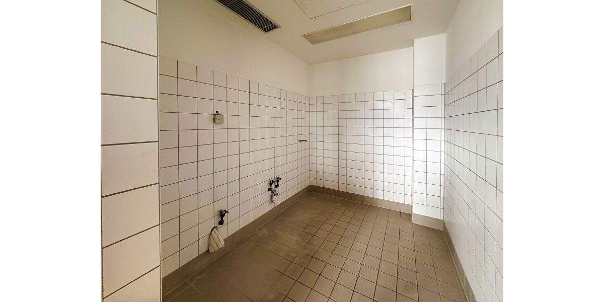 Gewerbeobjekt Dresden Pieschen-Nord/Trachenberge - 1.350&euro; | Angebot:25798225