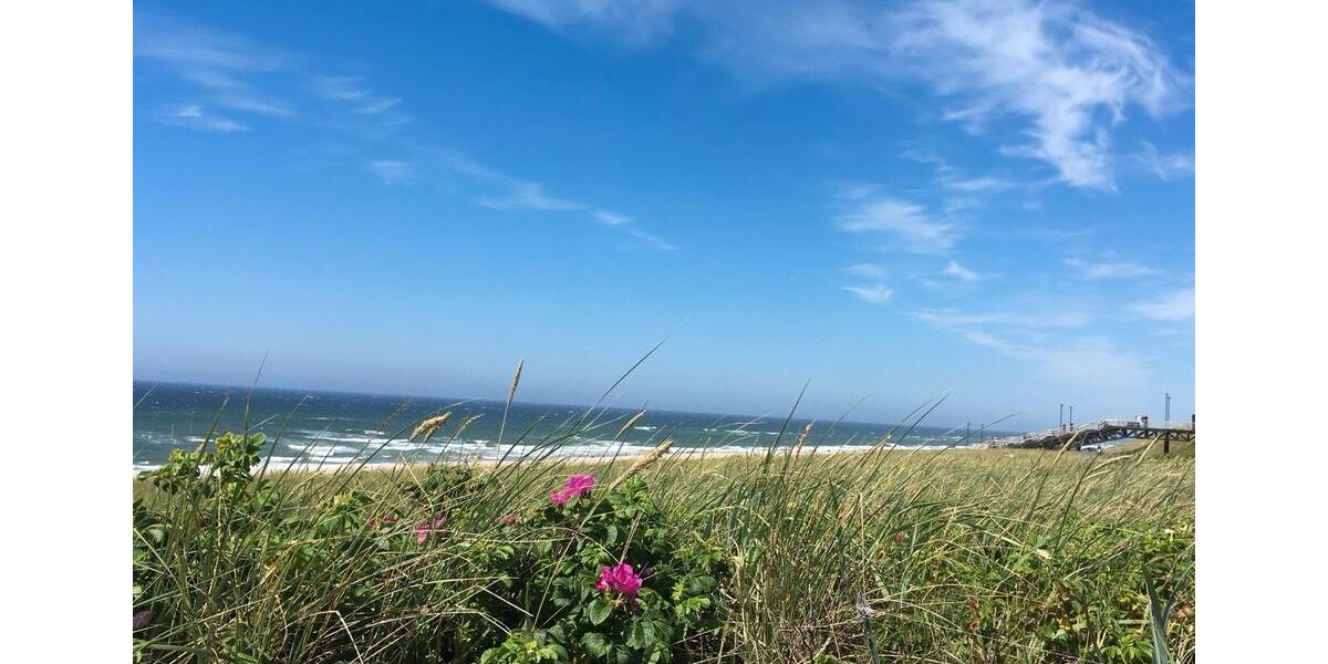 Maisonettenwohnung Wenningstedt-Braderup (Sylt) Braderup (Sylt) - 3 Zimmer, 75 m&sup2;, 4.000&euro; | Angebot:25046210