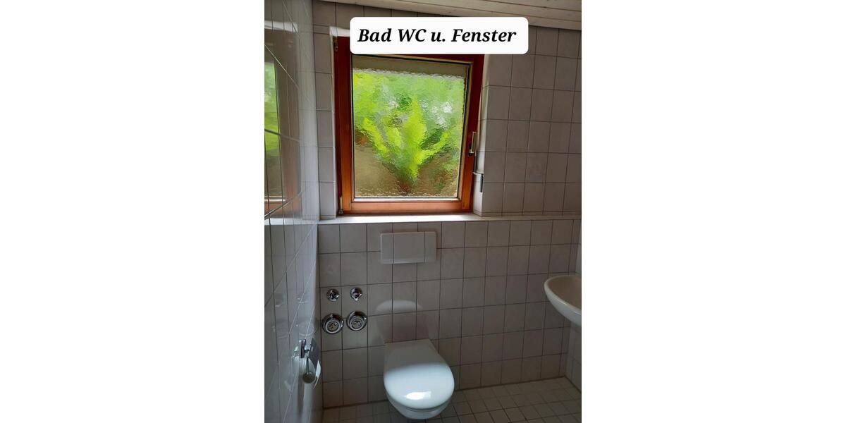 Schöne helle 1 Zi. Wohnung Buchenbach 1 zimmer