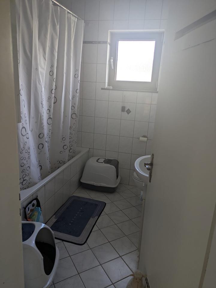 Wohnung zu vermieten