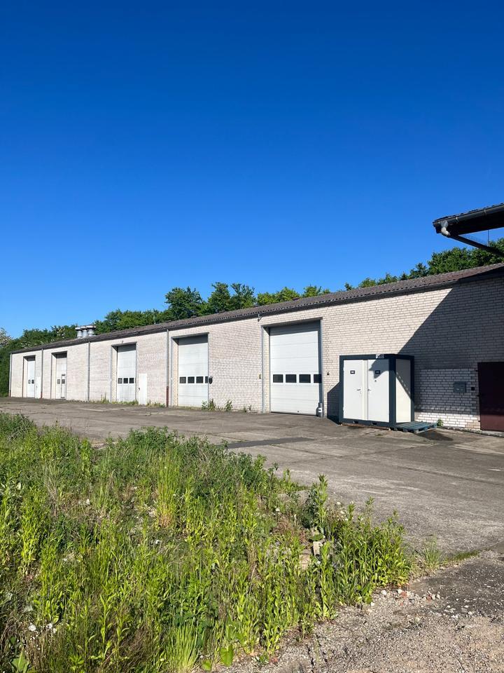 Gewerbehallen am CAMPUS mit ca. 272m² Fläche zimmer