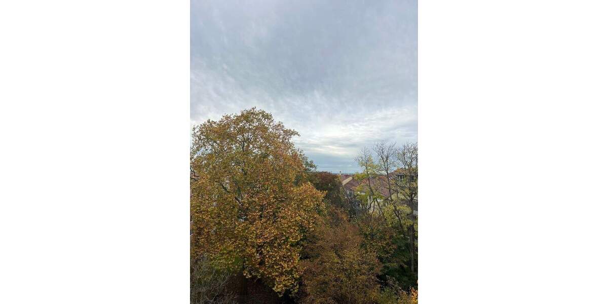 Etagenwohnung Nürnberg St Johannis - 4 Zimmer, 214 m&sup2;, 2.600&euro; | Angebot:24056652