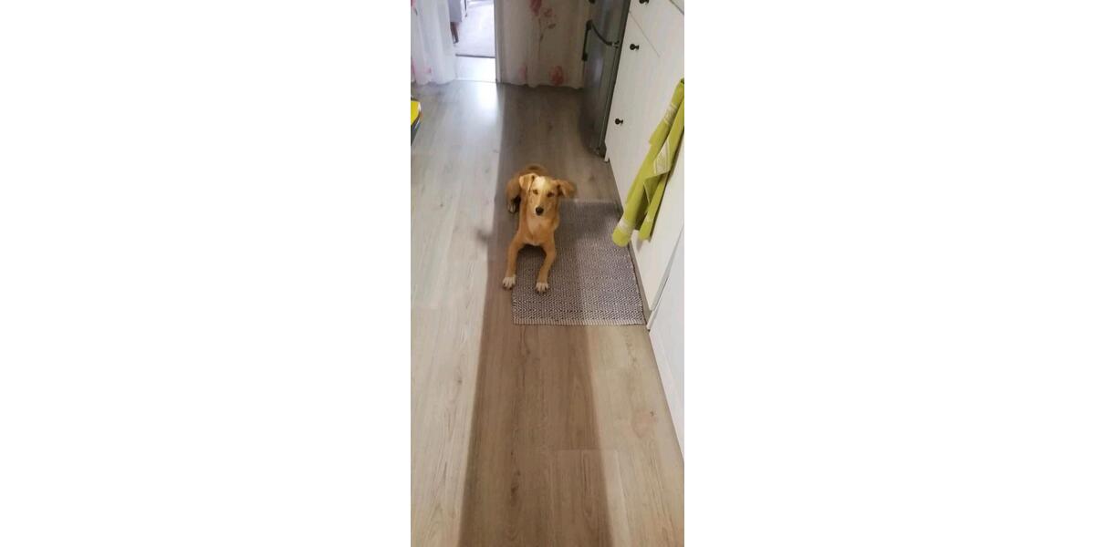 Wohnen auf Zeit Duisburg Angerhausen - 15 Zimmer, 100 m&sup2;, 550&euro; | Angebot:26656256