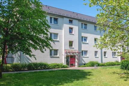 Wohnung Trappenkamp - 2.5 Zimmer, 53 m&sup2;, 440&euro; | Angebot:27212912