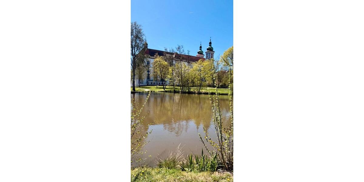 Etagenwohnung Waldsassen - 1.5 Zimmer, 49 m&sup2;, 550&euro; | Angebot:26461528