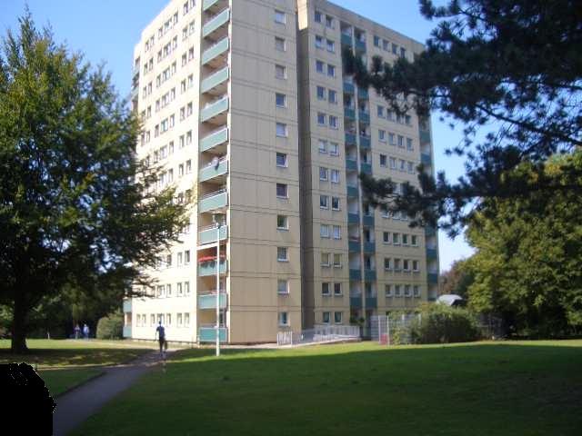 Kleine, feine Wohnung in Münster zur Miete- Wentzel Dr. zimmer
