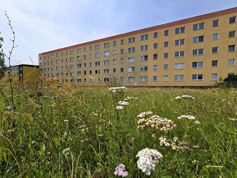 Wohnung zum Mieten in Sandersdorf 425 € 56.87 m²