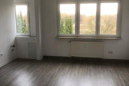 neu sanierte 4-Raum Wohnung in Hüttenrode mit Gartennutzung 4 zimmer