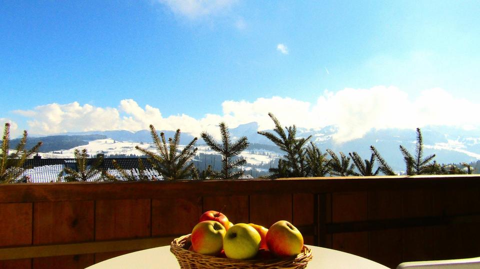 Wohnen auf Zeit Oberreute - 2 Zimmer, 45 m&sup2;, 1.100&euro; | Angebot:24356830