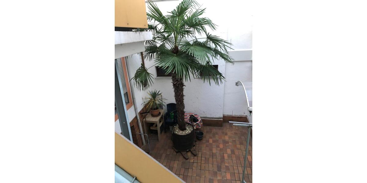 Etagenwohnung Trier - 3 Zimmer, 56 m&sup2;, 480&euro; | Angebot:24693984