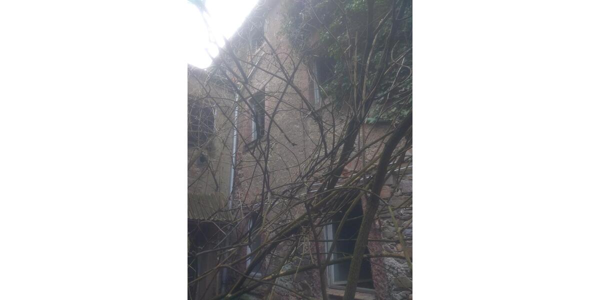 Mehrfamilienhaus, Wohnhaus Roßwein - 11 Zimmer, 240 m&sup2;, 125&euro; | Angebot:26366273