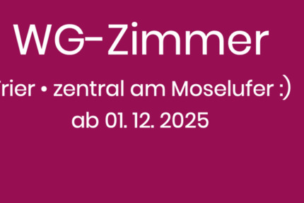 Wohnen auf Zeit Trier Feyen-Weismark - 1 Zimmer, 14 m&sup2;, 380&euro; | Angebot:23752705