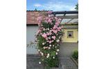 Etagenwohnung Waidhaus - 5 Zimmer, 90 m&sup2;, 580&euro; | Angebot:26383183