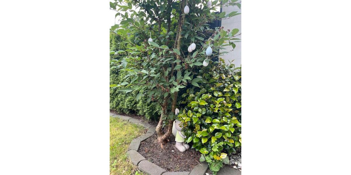 Terrassenwohnung Kaltenkirchen - 5 Zimmer, 142 m&sup2;, 2.400&euro; | Angebot:26048649