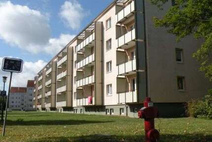 Wohnung zum Mieten in Stralsund 335,80 € 50.12 m² 2 zimmer