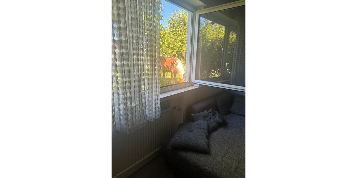 Erdgeschoßwohnung Reichshof - 2 Zimmer, 50 m&sup2;, 450&euro; | Angebot:26706039