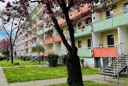 Wohnung zum Mieten in Magdeburg 414,18 € 70.2 m² 3 zimmer