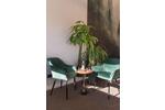Gewerbeobjekt Seeshaupt - 920&euro; | Angebot:24677286