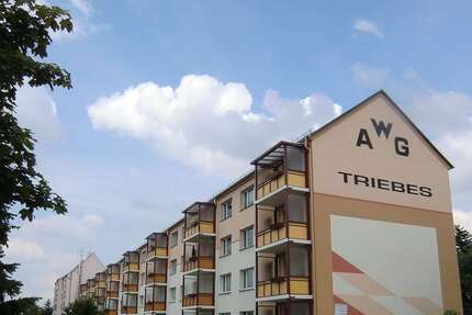 Wohnung Zeulenroda-Triebes Triebes - 3 Zimmer, 58 m&sup2;, 490&euro; | Angebot:26497416