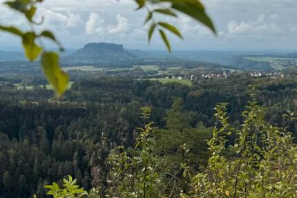 Wohnung Königstein - 1 Zimmer, 59 m&sup2;, 290&euro; | Angebot:25926211