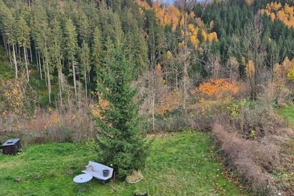 Wohnung in Finsterbergen zu vermieten 3 zimmer