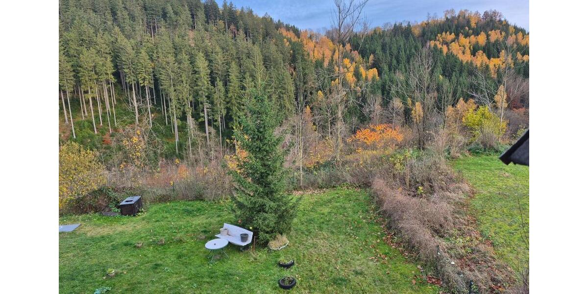 Wohnung in Finsterbergen zu vermieten 3 zimmer