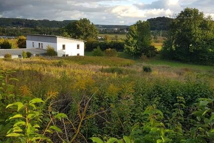 Gewerbeobjekt Kelheim - 1.900&euro; | Angebot:25997727