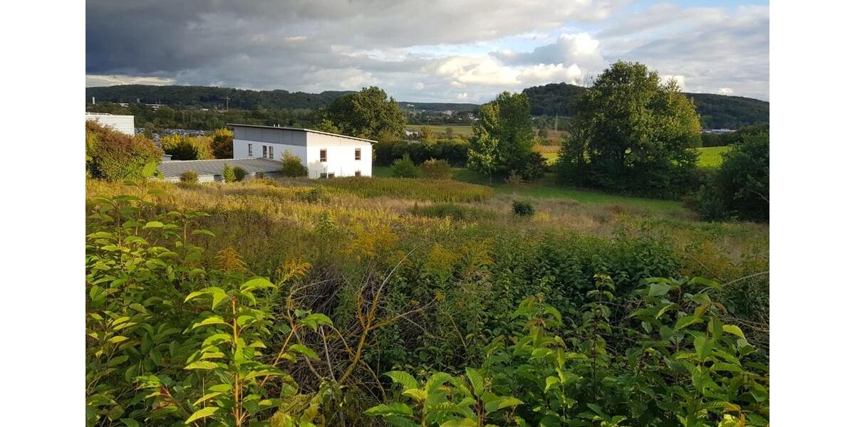 Gewerbeobjekt Kelheim - 1.900&euro; | Angebot:25997727