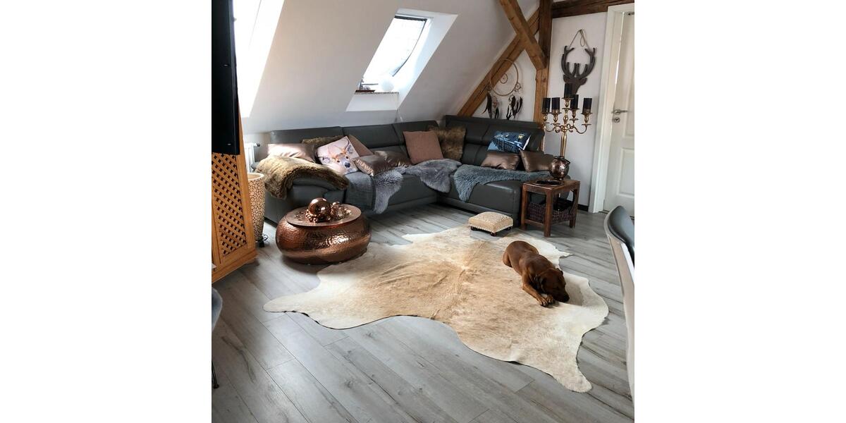 Traumhaft schöne Dachgeschoss Wohnung 4 zimmer