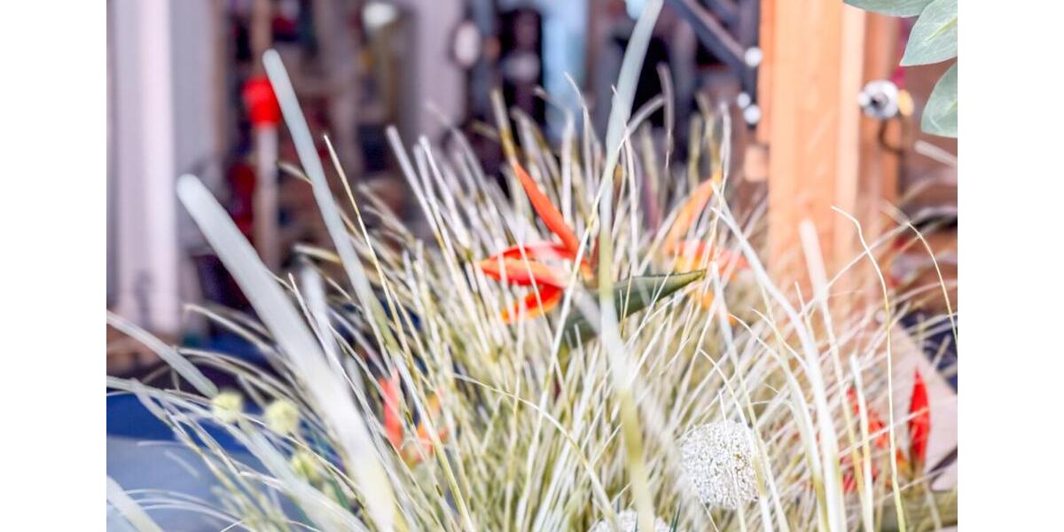 Gewerbeobjekt Wolgast - 800&euro; | Angebot:22495850