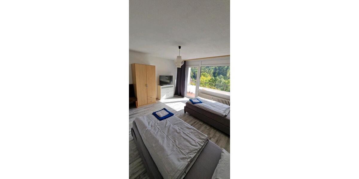 Wohnen auf Zeit Achern - 2 Zimmer, 59 m&sup2;, 20&euro; | Angebot:24669482