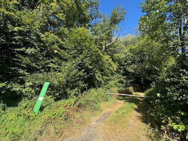 Zimmer Plettenberg Ohle - 3 Zimmer, 72 m&sup2;, 500&euro; | Angebot:26188940