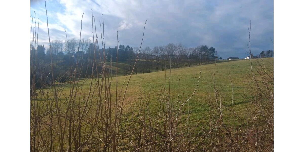 Erdgeschoßwohnung Cham - 2 Zimmer, 100 m&sup2;, 720&euro; | Angebot:25929833