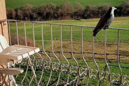 Nähe Bleialf 3ZKDB 62 qm herrliche Aussichtslage großer Balkon 3 zimmer