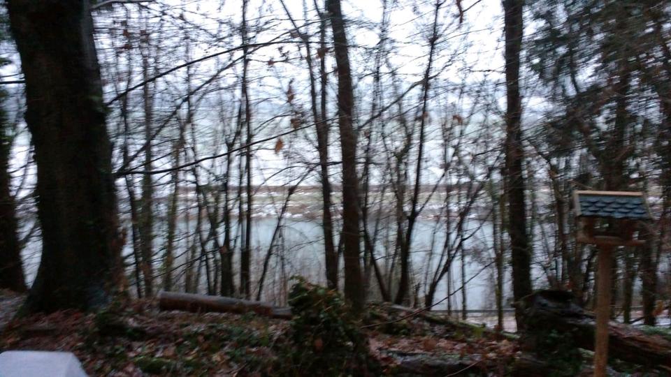 Einfamilienhaus Holzminden - 1 Zimmer, 35 m&sup2;, 600&euro; | Angebot:24763862