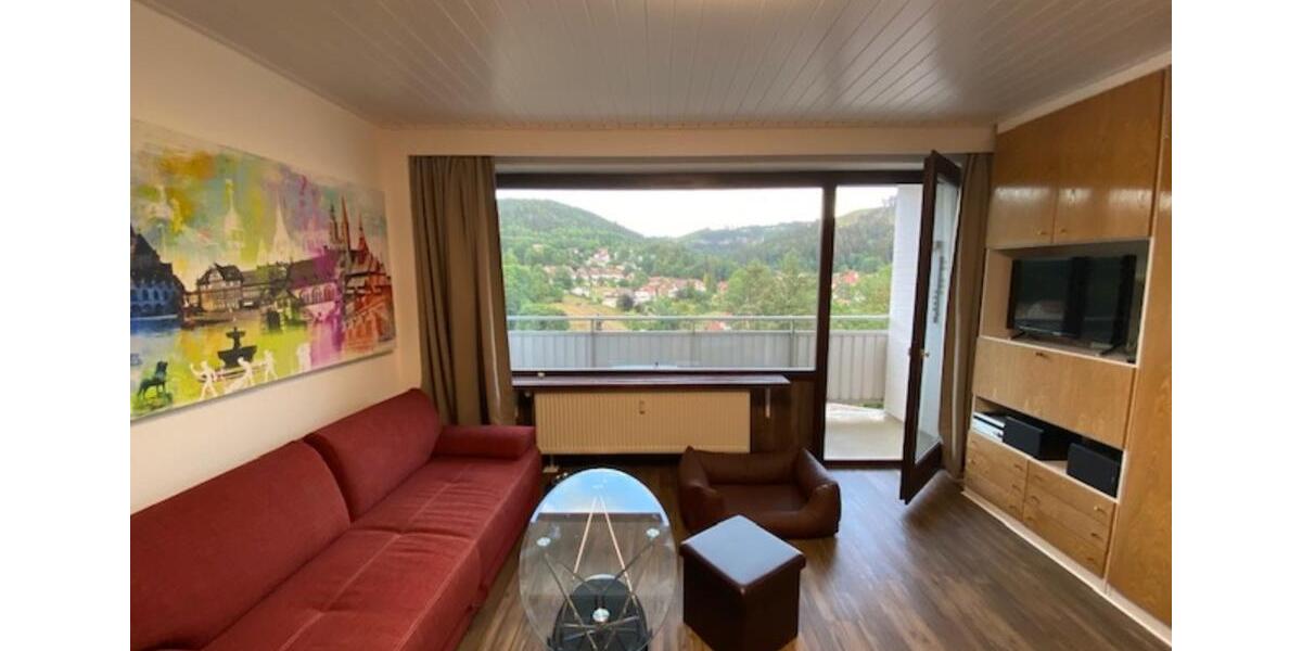 Etagenwohnung Bad Grund (Harz) - 1 Zimmer, 30 m&sup2;, 590&euro; | Angebot:24514412