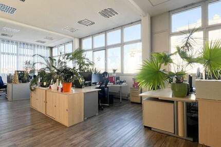 Moderne Bürofläche in Dresden Striesen zur Miete zimmer