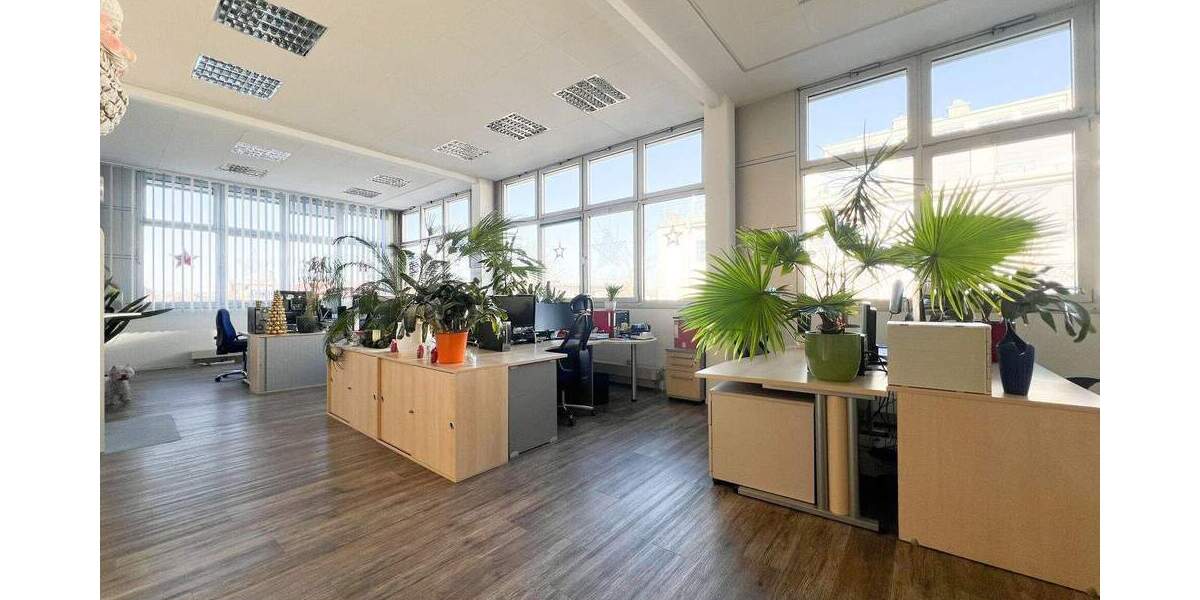 Moderne Bürofläche in Dresden Striesen zur Miete zimmer