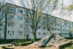 1-Zimmer-Wohnung im Erdgeschoss zimmer