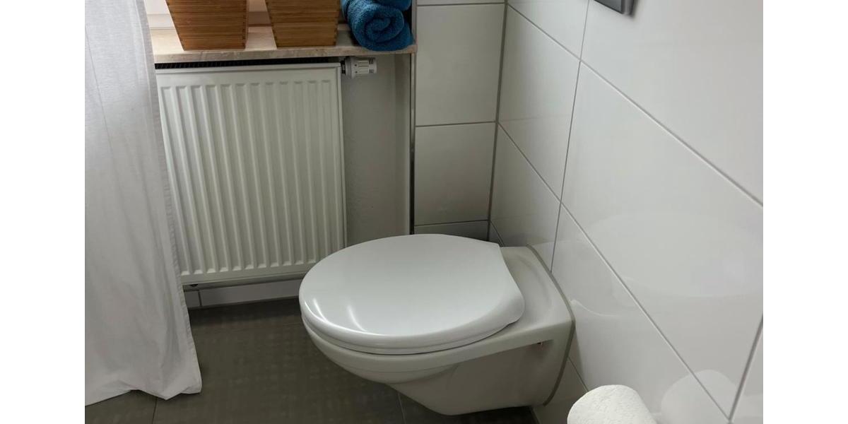 Wohnen auf Zeit Birkenfeld - 1 Zimmer, 45 m&sup2;, 820&euro; | Angebot:26222642