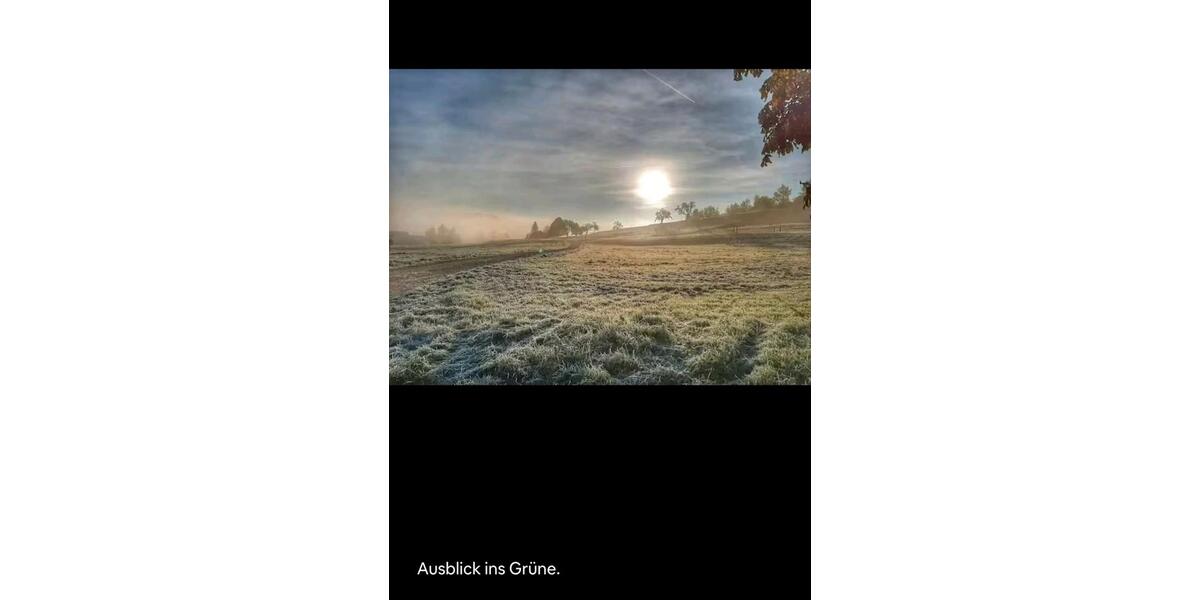 Etagenwohnung Münsingen - 3 Zimmer, 100 m&sup2;, 1.700&euro; | Angebot:24814657