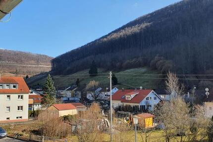 Wohnung Wiesensteig - 3 Zimmer, 80 m&sup2;, 900&euro; | Angebot:25273370